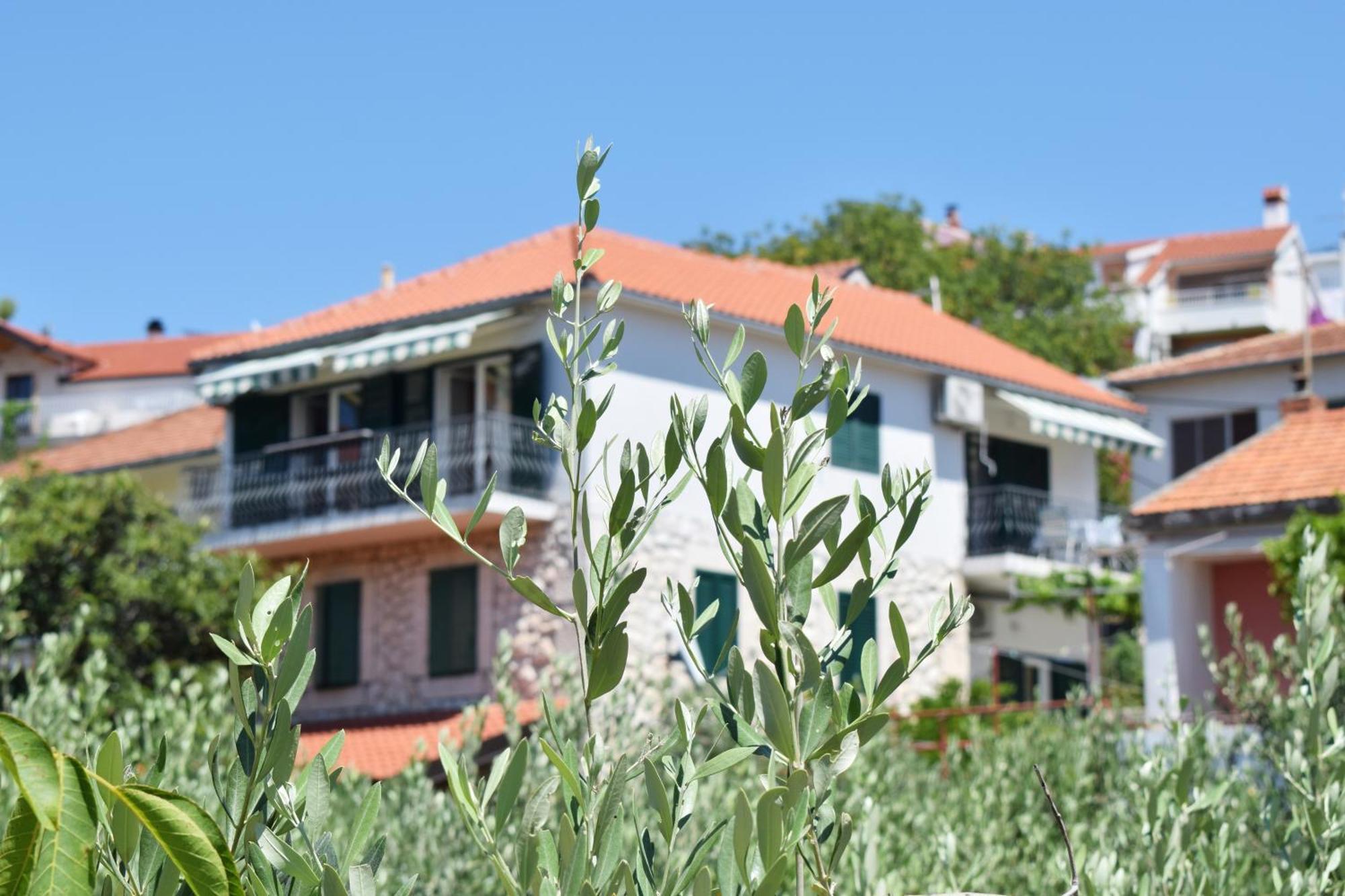 Lina Vrankovic Apartments Hvar Town Zewnętrze zdjęcie